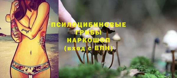 прущие грибы Заводоуковск