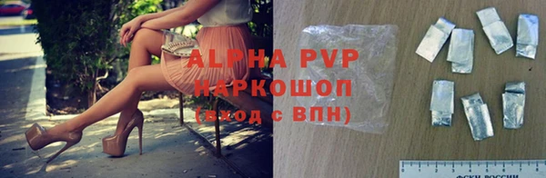 прущие грибы Заводоуковск