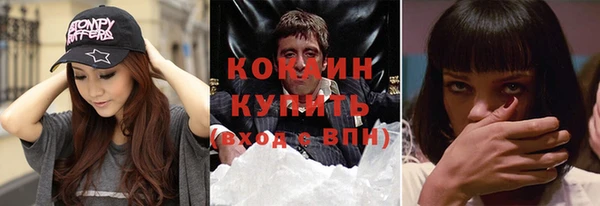 прущие грибы Заводоуковск