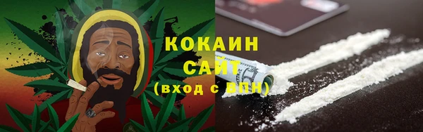 прущие грибы Заводоуковск