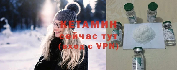 прущие грибы Заводоуковск