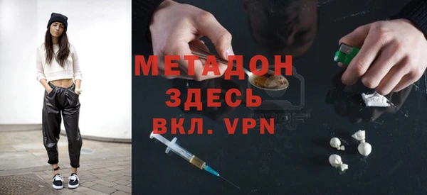 прущие грибы Заводоуковск