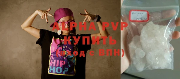 прущие грибы Заводоуковск