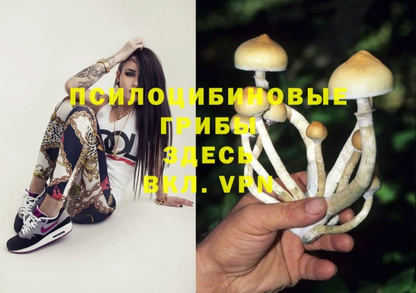 твердый Заволжье