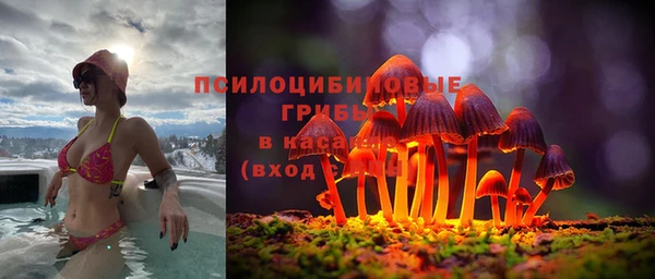 прущие грибы Заводоуковск